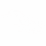 nettoyeur robotise wagons fimec sh